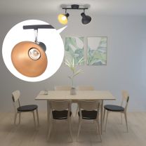  Plafondlamp voor 2 peertjes E27 zwart en goudkleurig