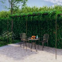  Tuinpergola 6x3x2,5 m ijzer antiekbruin
